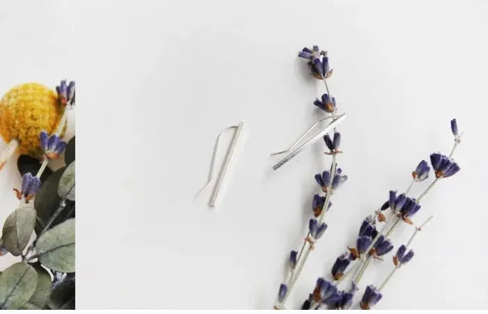 Women Party Earrings