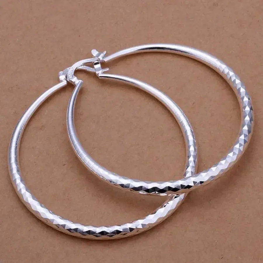 Silver big Earring