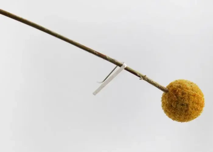 Women Party Earrings